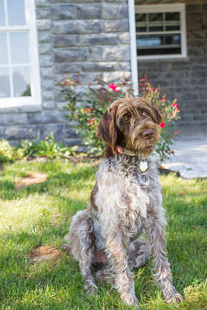 amyhowesphotography-9446