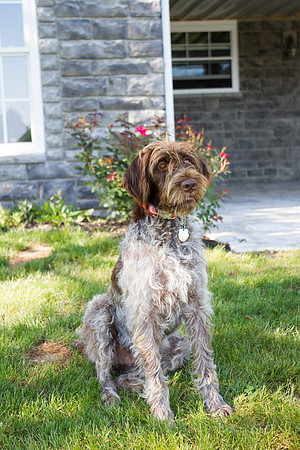 amyhowesphotography-9448