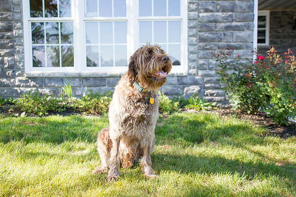 amyhowesphotography-9460
