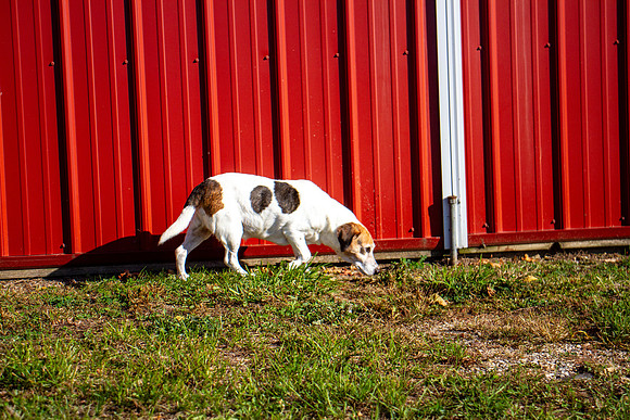 amyhowesphotography-9646