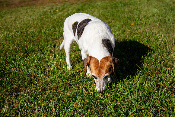 amyhowesphotography-9642
