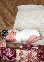 amyhowesphotography-8554