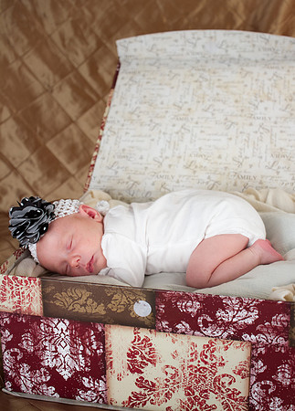 amyhowesphotography-8554