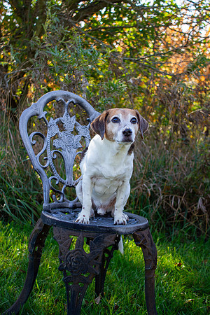 amyhowesphotography-9666