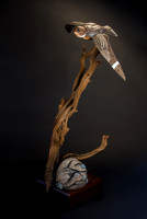 amyhowesphotography-0614