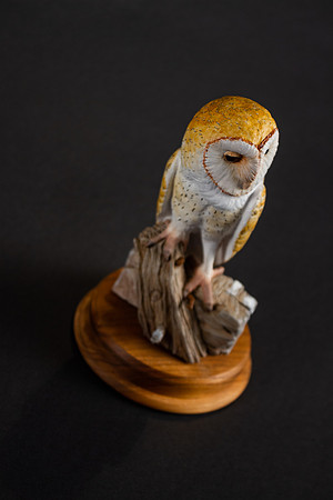 amyhowesphotography-1323
