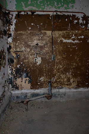 amyhowesphotography-8171