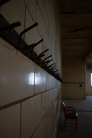amyhowesphotography-8208