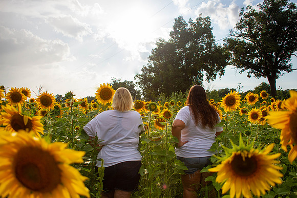 amyhowesphotography-3185