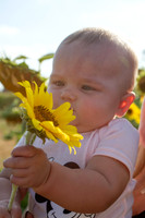 amyhowesphotography-3649
