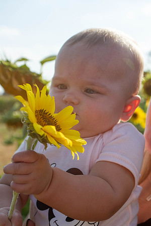 amyhowesphotography-3649