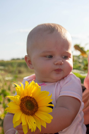 amyhowesphotography-3650