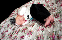 amyhowesphotography-8547