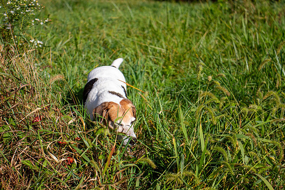 amyhowesphotography-9700