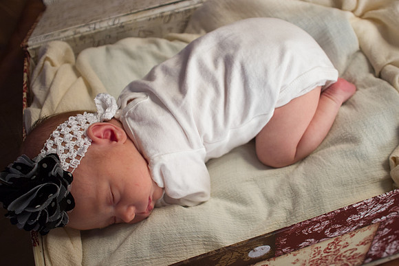 amyhowesphotography-8552