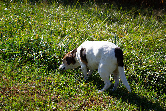 amyhowesphotography-9688