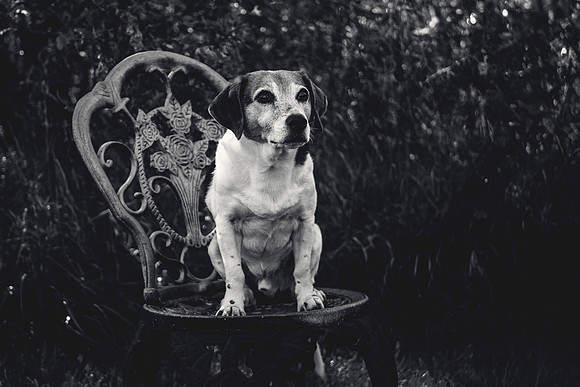 amyhowesphotography-9669