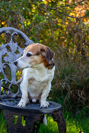 amyhowesphotography-9663