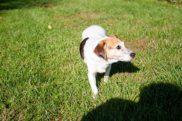 amyhowesphotography-9687