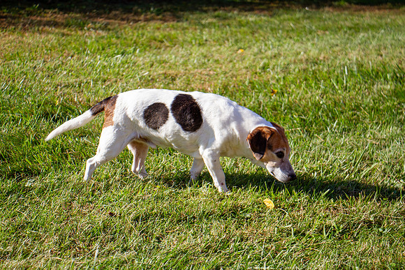 amyhowesphotography-9638