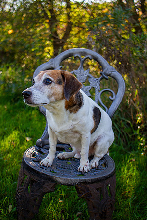 amyhowesphotography-9671