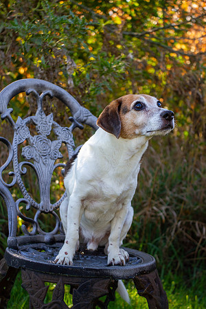 amyhowesphotography-9662