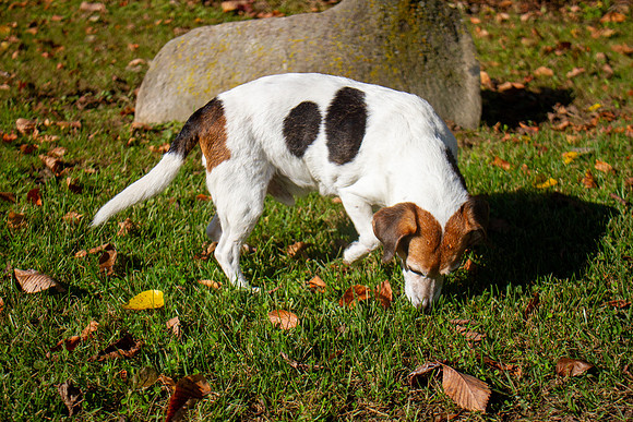 amyhowesphotography-9758