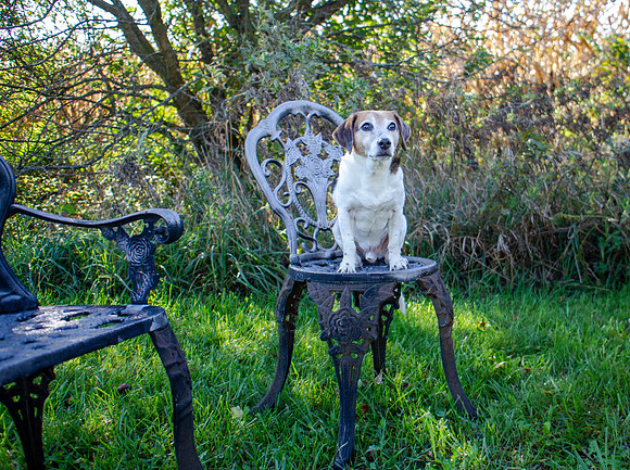 amyhowesphotography-9668
