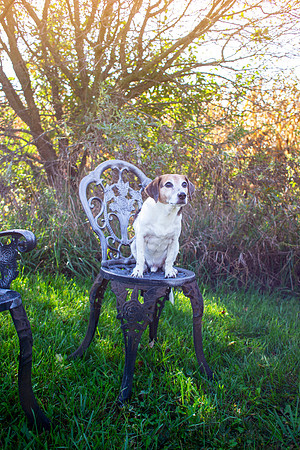 amyhowesphotography-9665
