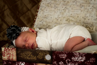 amyhowesphotography-8558