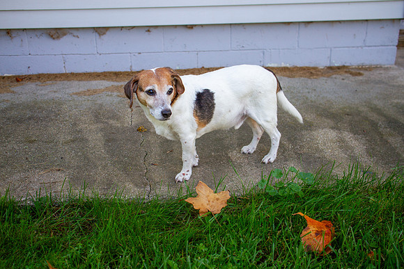 amyhowesphotography-9733