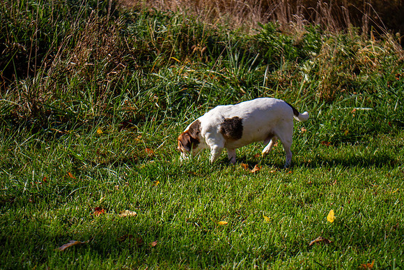 amyhowesphotography-9625