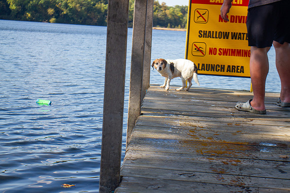 amyhowesphotography-9809