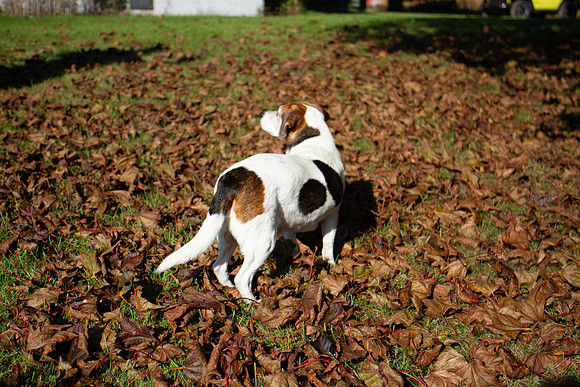 amyhowesphotography-9725