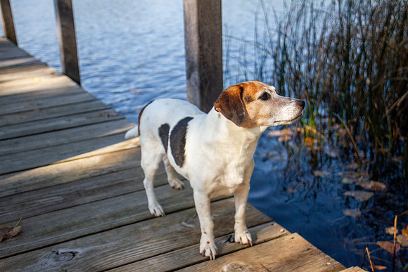 amyhowesphotography-9768