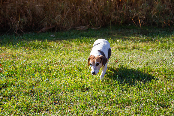 amyhowesphotography-9630