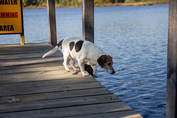 amyhowesphotography-9771