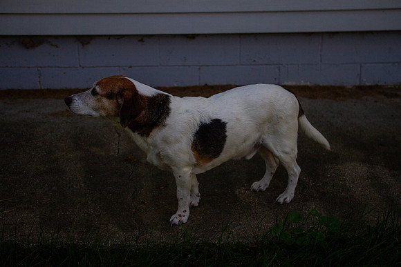 amyhowesphotography-9730