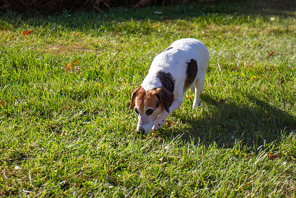amyhowesphotography-9631