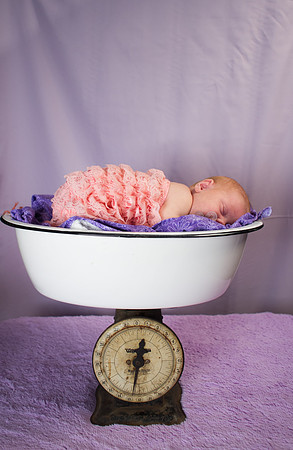 amyhowesphotography-8635