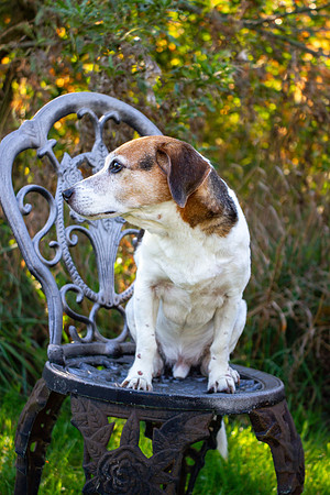 amyhowesphotography-9667