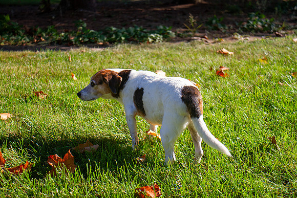 amyhowesphotography-9737