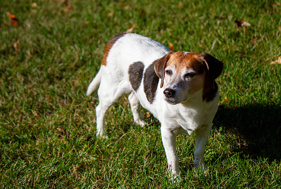 amyhowesphotography-9622