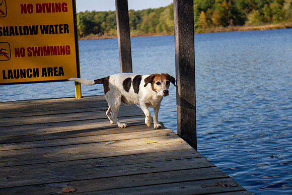 amyhowesphotography-9770