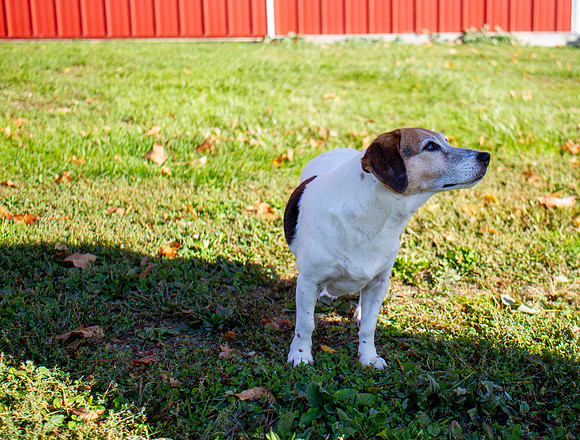 amyhowesphotography-9635