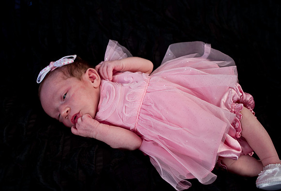 _MG_4979