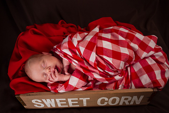 amyhowesphotography-8633