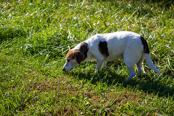 amyhowesphotography-9690