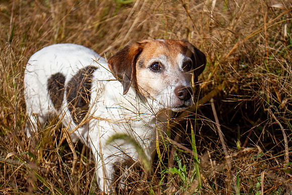 amyhowesphotography-9720
