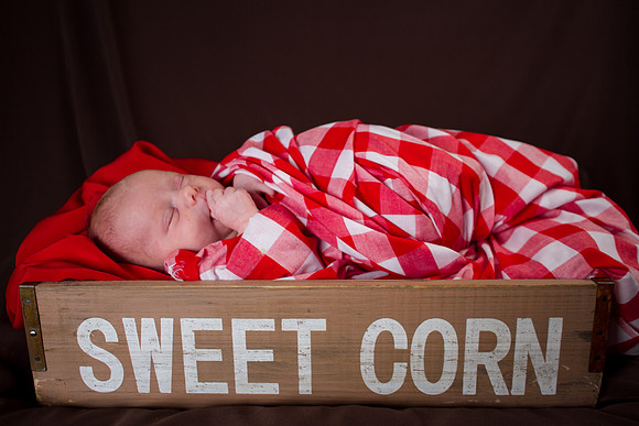 amyhowesphotography-8630